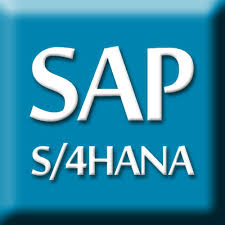 SAP S/4 HANA icon